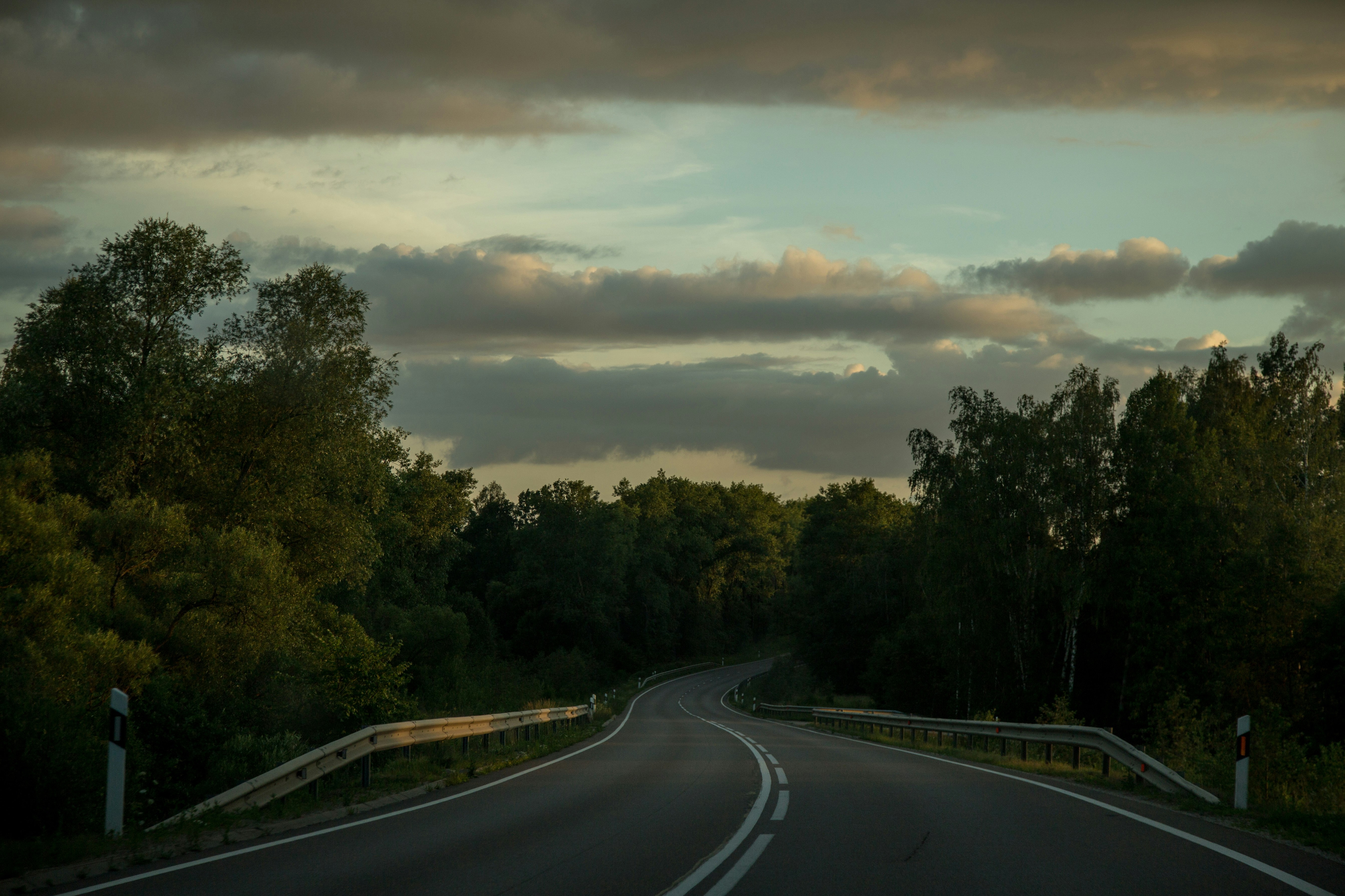 gray concrete road between green trees under gray clouds during daytime